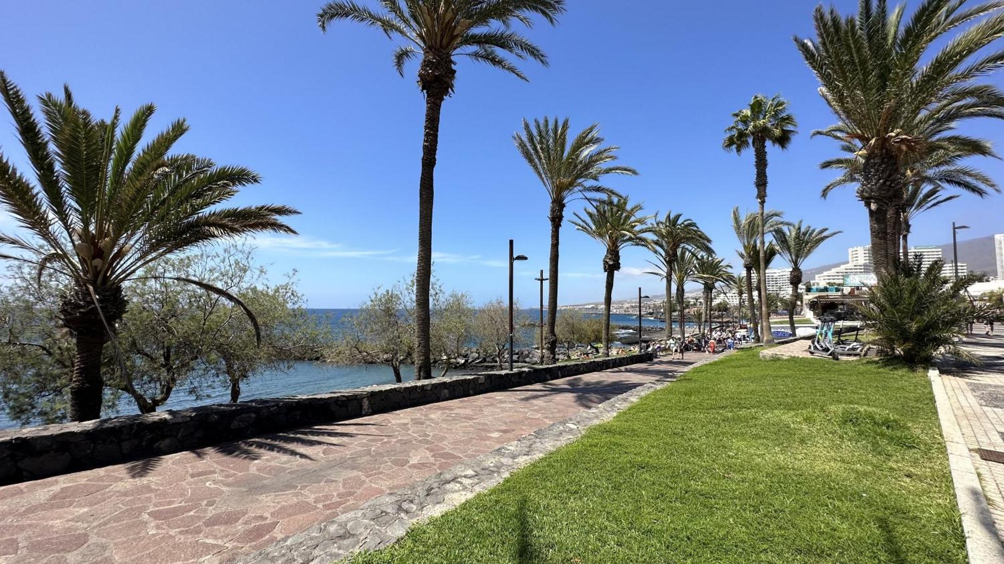 Fantastic Vacation By The Ocean Playa de las Americas (Tenerife) Exterior foto